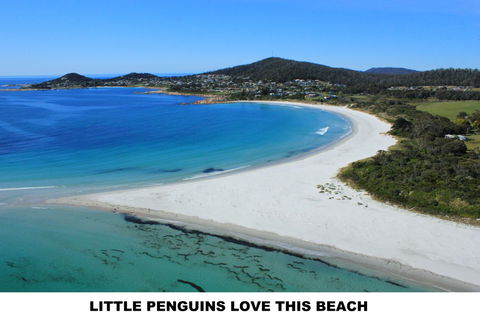 Diamond Island Resort - Accommodation QLD 5