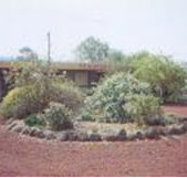 Beaufort Motel - Accommodation QLD