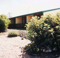 The Fig Tree Bed  Breakfast - Accommodation QLD