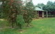 Murray's Country Cottages - thumb 0