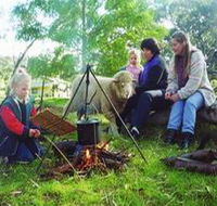 Sleepy Hollow Farm Cottage - Accommodation QLD
