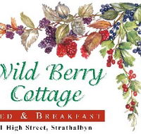 Wild Berry Cottage - Accommodation QLD