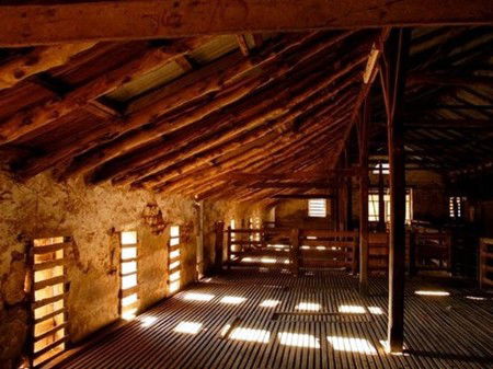 Bungaree Station - Accommodation QLD 3