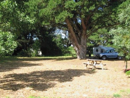 Millicent Hillview Caravan Park - Accommodation QLD 1