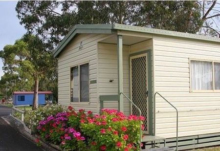 Naracoorte Holiday Park - Accommodation QLD 5