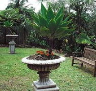 Bangalow Retreat - Accommodation QLD