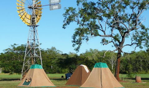 Litchfield Tourist Park - Accommodation QLD 2