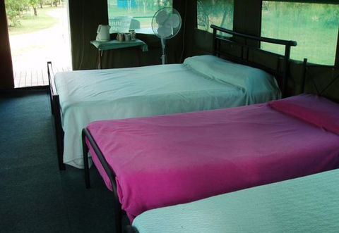 Litchfield Safari Camp - Accommodation QLD 2