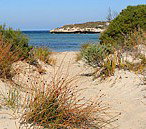 Marion Bay Caravan Park - Accommodation QLD 5