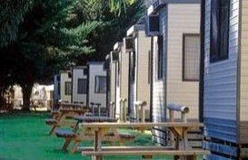 Moonta Bay Caravan Park Cabins - Accommodation QLD 1