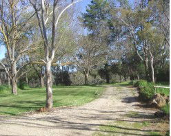 Kooringal Homestead - Accommodation QLD 2