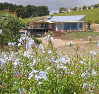 The Blue Grape Vineyard Accommodation - Accommodation QLD