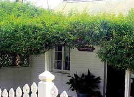 Peppertree Cottage Bed And Breakfast - Normanville - Accommodation QLD 1