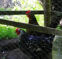 Norma's Place - Accommodation QLD