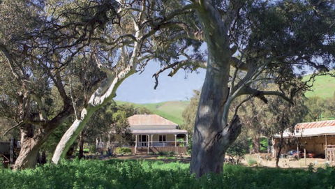 Brooklyn Farm Bed And Breakfast - Accommodation QLD 0