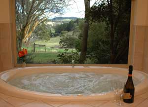 Adelaide Hills Country Cottages - The Nest - Accommodation QLD 0