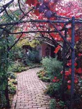 Adelaide Hills Country Cottages - The Nest - Accommodation QLD 2