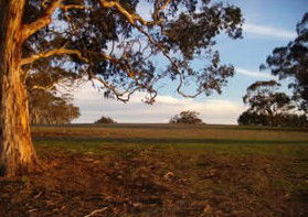 Mirrabooka Bed And Breakfast - Accommodation QLD 1