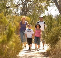 Long Island Caravan Park Cabins - Accommodation QLD
