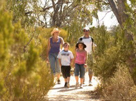 Long Island Caravan Park Cabins - Accommodation QLD 0