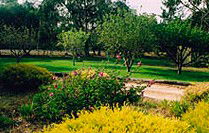 Naracoorte Cottages - Pinkerton Hill - Accommodation QLD 2