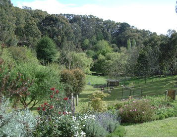 Lorikeet Lane B&B - Accommodation QLD 1
