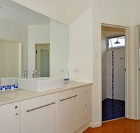 Seagulls at Hayborough - Accommodation QLD