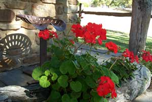 Adelaide Hills Country Cottages - Gum Tree Cottage - Accommodation QLD 3