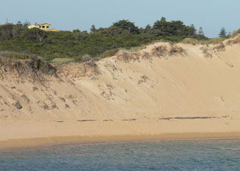 Ark Bed And Breakfast - Accommodation QLD 1