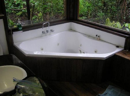 The Canopy Rainforest Tree Houses And Wildlife Sanctuary - Accommodation QLD 0