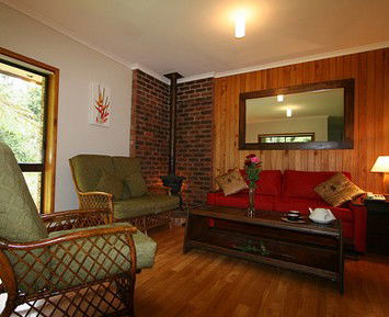 The Canopy Rainforest Tree Houses And Wildlife Sanctuary - Accommodation QLD 1