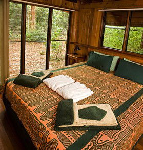 The Canopy Rainforest Tree Houses And Wildlife Sanctuary - Accommodation QLD 2