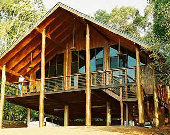 The Canopy Rainforest Tree Houses And Wildlife Sanctuary - Accommodation QLD 4