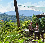 Rose Gums Wilderness Retreat - Accommodation QLD