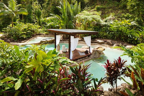 Misty Mountains Tropical Rainforest Romantic Retreat - Accommodation QLD 3