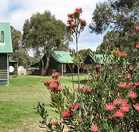 Derwent Bridge Chalets and Studios - Accommodation QLD