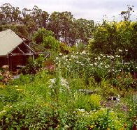 Plovers Ridge Country Retreat - Accommodation QLD