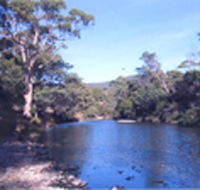Douglas River Cabin - Accommodation QLD