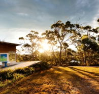 Bruny Island Experience - Accommodation QLD