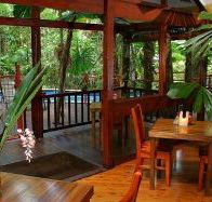 Daintree Wilderness Lodge - Accommodation QLD
