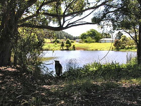 Lapoinya TAS Accommodation QLD