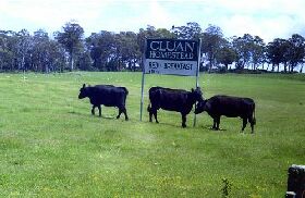 Exton TAS Accommodation QLD