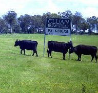 Cluan Homestead - The Managers Residence - Accommodation QLD