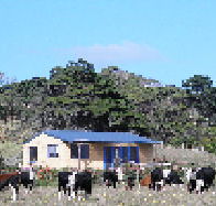 Marrawah Beach House - Accommodation QLD