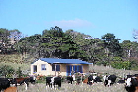 Marrawah Beach House - Accommodation QLD 0