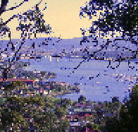 Possums Bed  Breakfast - Accommodation QLD