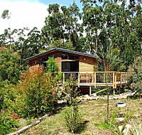 Southern Forest Accommodation - Accommodation QLD