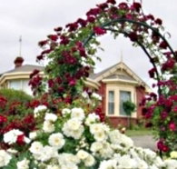 Golden Embers Apartments and B and B - Accommodation QLD