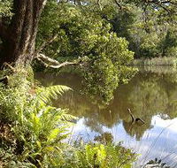 Weldborough Camping Ground - Accommodation QLD