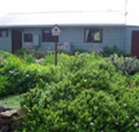 Engadine Cottage - Accommodation QLD